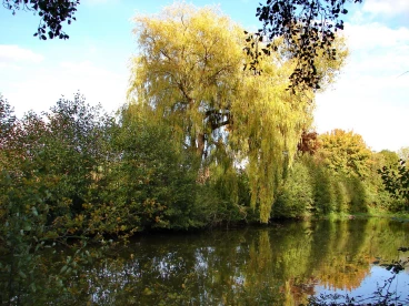 Martel octobre2022  (9)