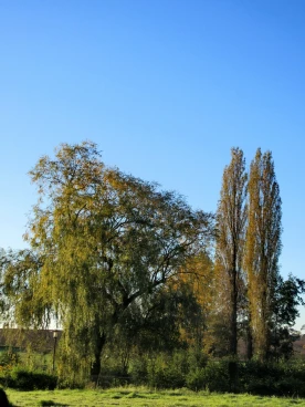 Martel octobre2021  (16)