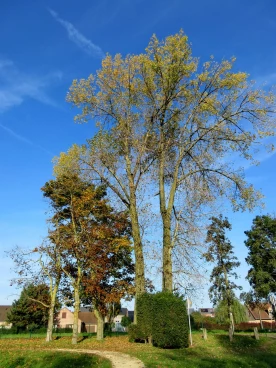 Martel octobre2019 (35)