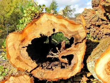 Martel octobre2020   (21)