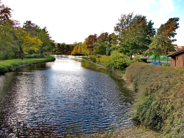 Martel octobre2020   (10)