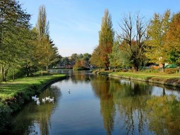 Martel octobre2019 (25)