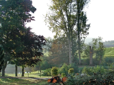 Martel octobre2020   (1)