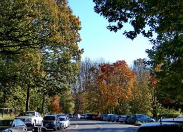 Les étangs Martel en octobre