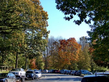 Martel octobre2021  (33)