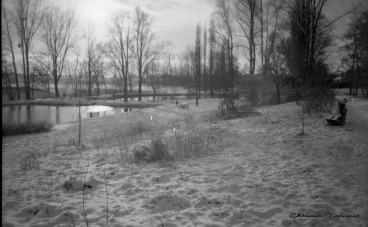 Martel decembre2001    (4)