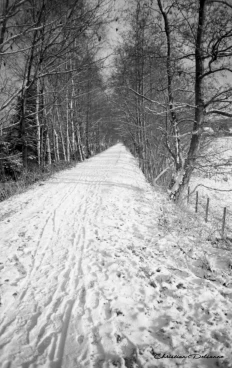 Martel decembre2001    (5)