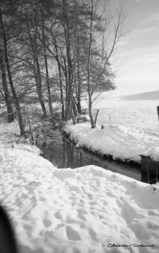 Martel decembre2001    (7)