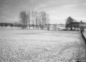 Les étangs Martel en hiver