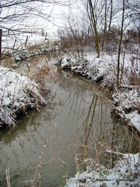 Martel janvier2009   (10)