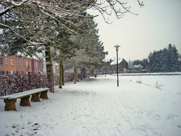 Martel janvier2009   (25)