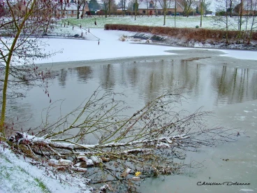 Martel fevrier2009   (4)