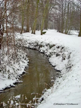 Martel janvier2009   (14)