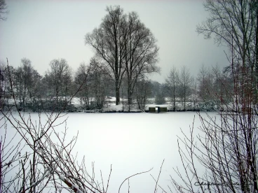 Martel janvier2009   (18)