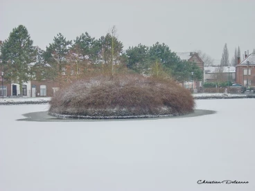 Martel fevrier2009   (8)