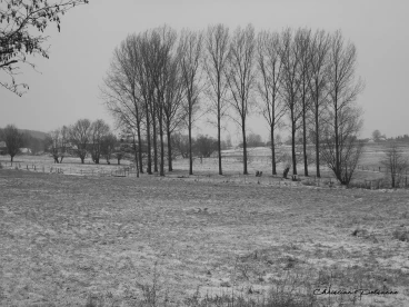 Martel fevrier2009   (3)