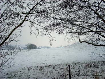 Martel janvier2009   (15)