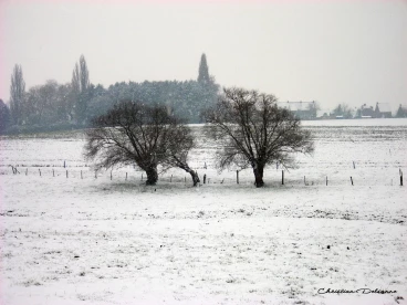 Martel janvier2009   (3)