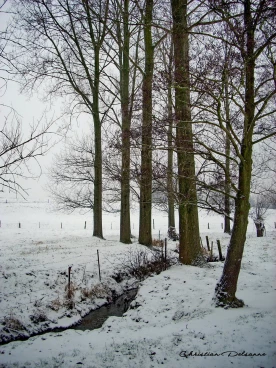 Martel janvier2009   (9)