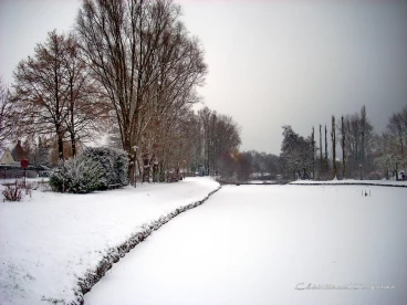 Martel janvier2009   (26)