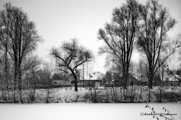 Martel janvier2009   (17)