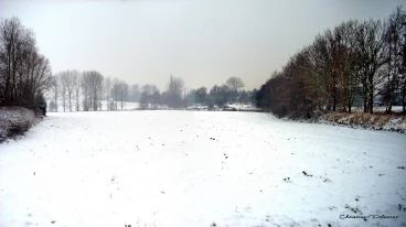 Martel janvier2009   (1) stitch