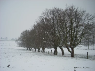 Martel janvier2009   (4)