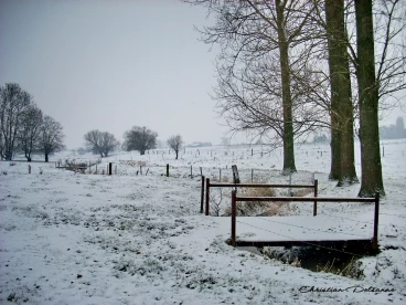 Martel janvier2009   (8)