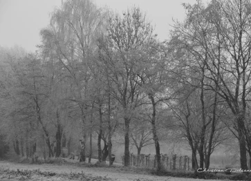 Les étangs Martel durant l'hiver 2016