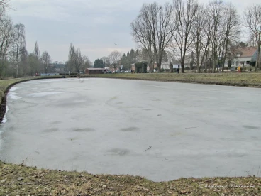 Martel mars2018   (16)