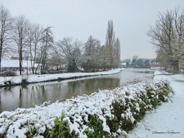 Martel fevrier2019   (3)