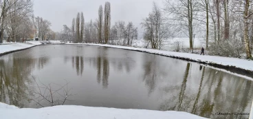 Martel janvier2019  (24) stitch