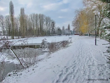 Martel janvier2019  (45)