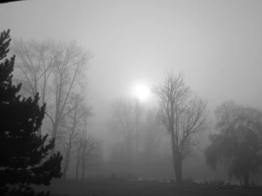 Martel decembre2019    (3)