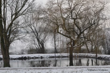 Martel janvier2019  (37)