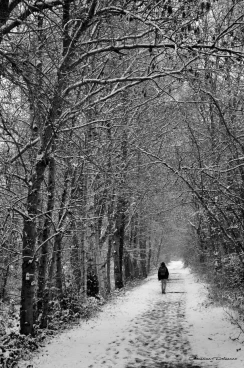 Martel janvier2019  (6)