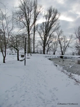 Martel janvier2019  (55)