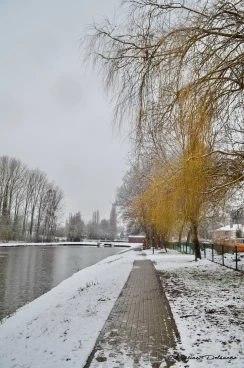 Martel janvier2019  (33)