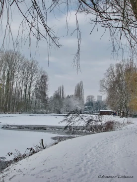 Martel janvier2019  (51)