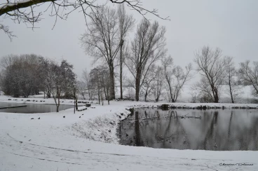 Martel janvier2019  (2)