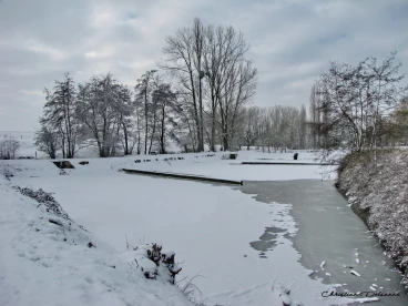 Martel janvier2019  (65)