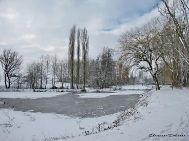 Martel janvier2019  (54)