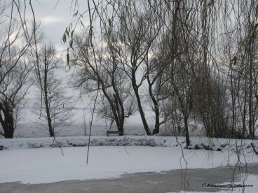 Martel janvier2019  (50)