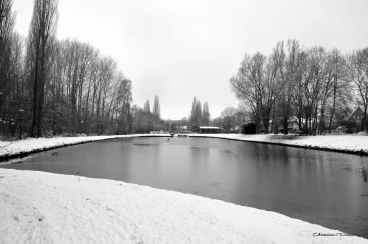 Martel janvier2019  (17)