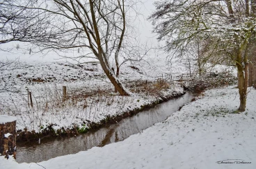 Martel janvier2019  (13)