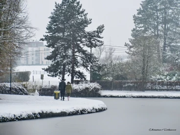 Martel fevrier2019   (6)