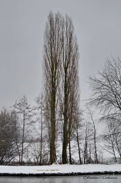 Martel janvier2019  (30)