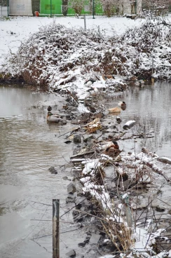 Martel janvier2019  (19)