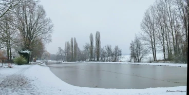 Martel fevrier2019   (1) stitch