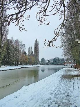 Martel fevrier2019   (5)